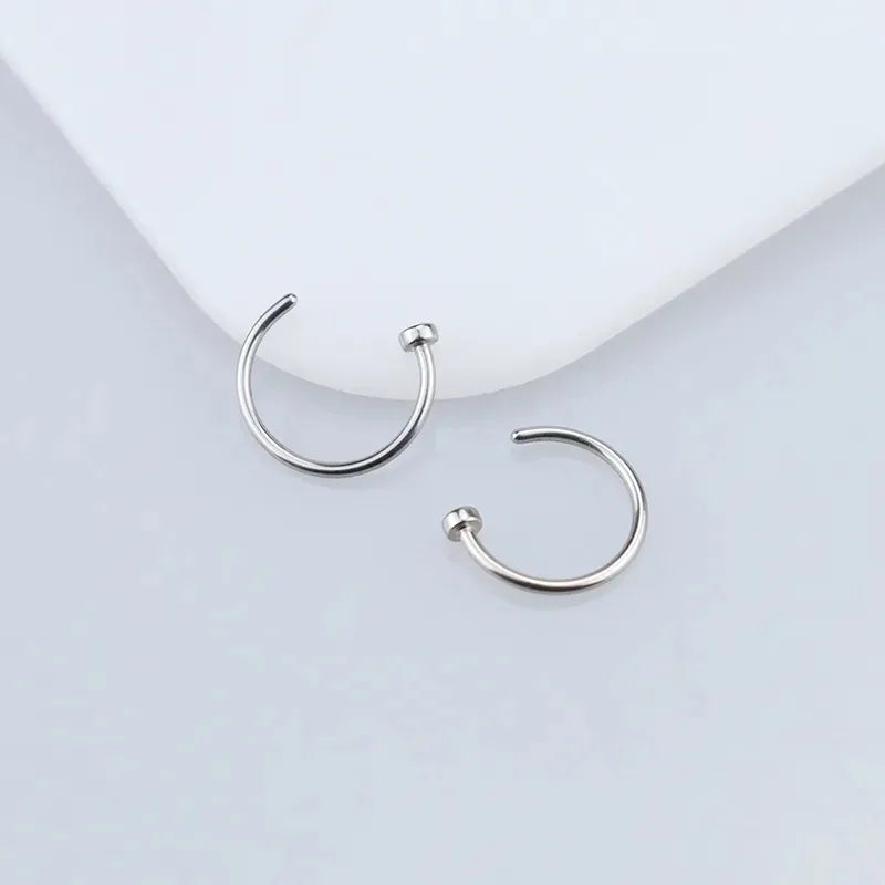 2/6Pcs Fake Nose Rings for Women, 316L Stainless Steel Lip Rings Labret Ring Nostril Hoop Piercing Studs Nose Piercing Jewelry